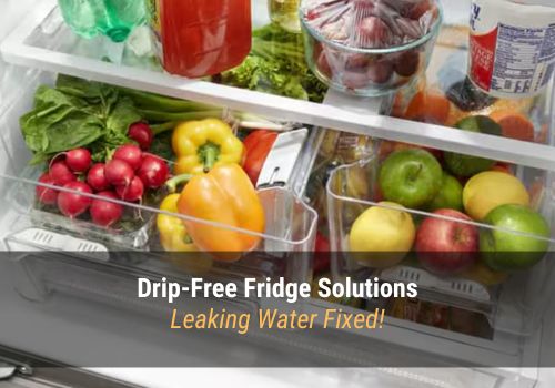 Refrigerator Leaking Water Troubleshooting Guide